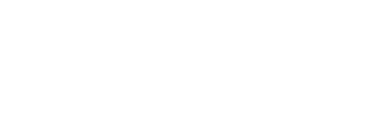 borusan_logo