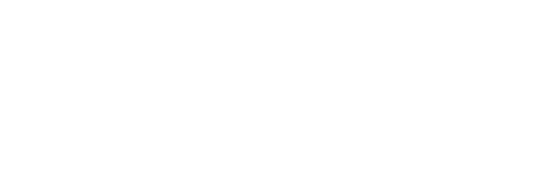 erdemir_logo