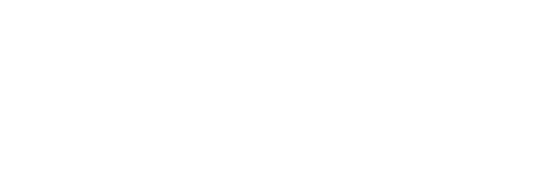 segezha_logo